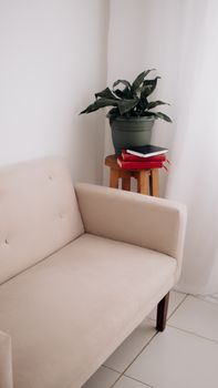 A cozy minimalist living room featuring a beige couch, books, and a potted plant.