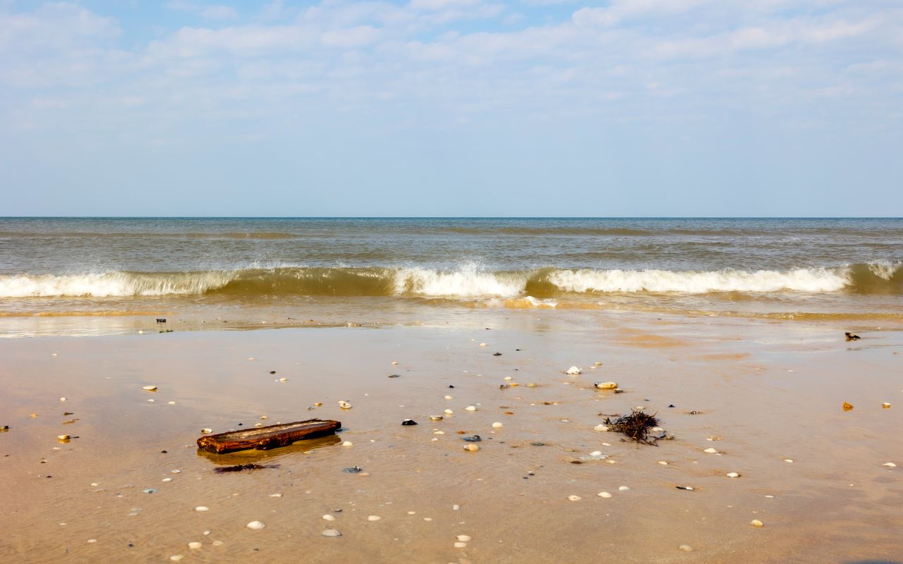 Czym zajmuje się psycholog, psychoterapeuta i psychiatra? Relaxing view of a calm beach at Løkken, Denmark with seashells and driftwood.
